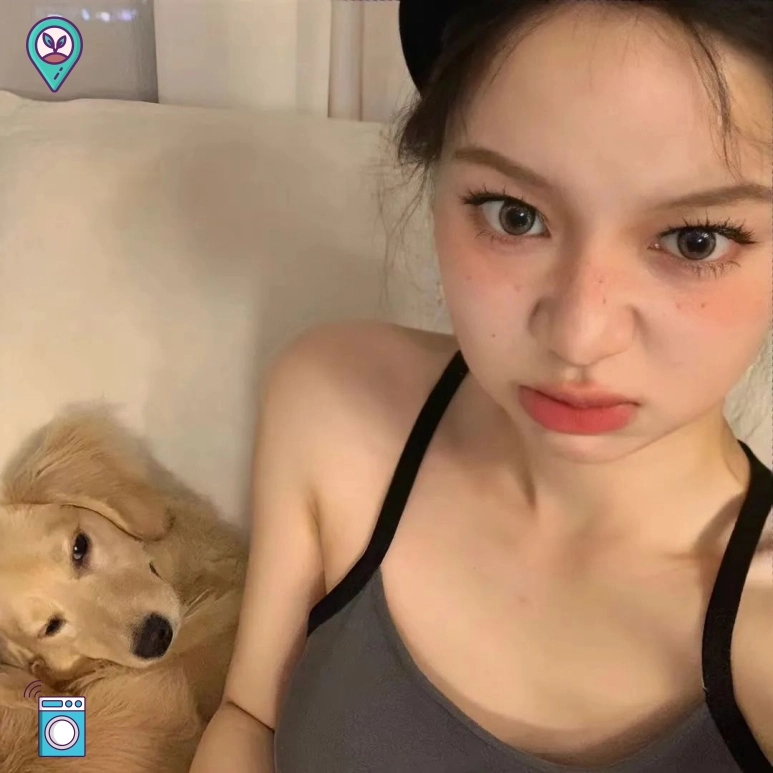 小叶